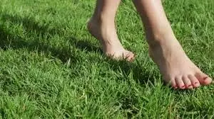 Walking Barefoot on Grass: घास पर नंगे पैर चलने के क्या फायदे हैं? जानिए कब और कितनी देर तक चलना है कारगर Walking Barefoot on Grass: घास पर नंगे पैर चलने के क्या फायदे हैं? जानिए कब और कितनी देर तक चलना है कारगर
