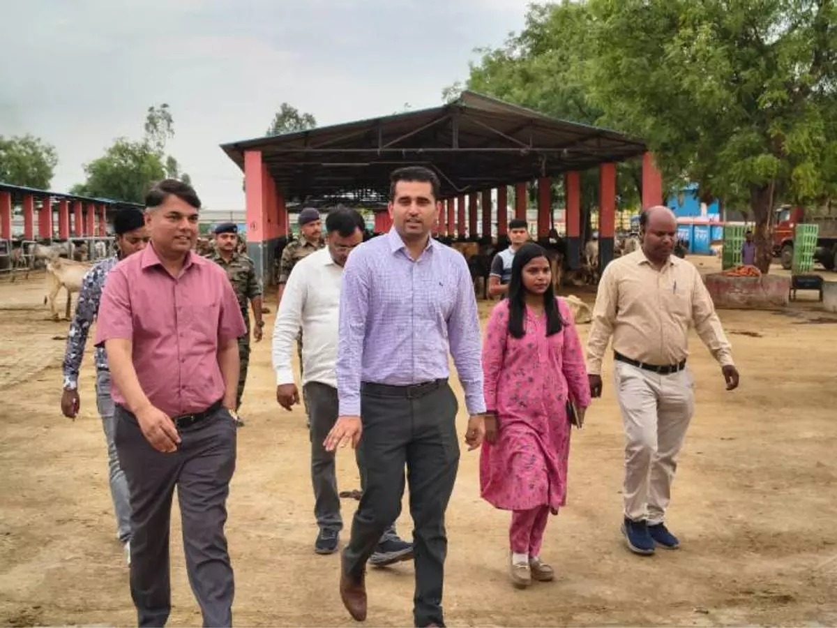 Kanpur: नगर आयुक्त सुधीर कुमार ने कान्हा गौशाला का लिया जायजा Kanpur: नगर आयुक्त सुधीर कुमार ने कान्हा गौशाला का लिया जायजा