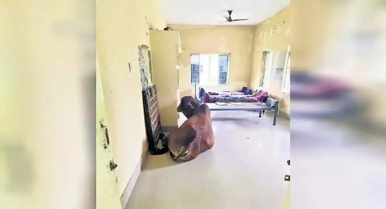 Odisha के कॉलेज छात्रों ने छात्रावासों में बेहतर रहने की स्थिति की मांग को लेकर विरोध प्रदर्शन किया Odisha के कॉलेज छात्रों ने छात्रावासों में बेहतर रहने की स्थिति की मांग को लेकर विरोध प्रदर्शन किया