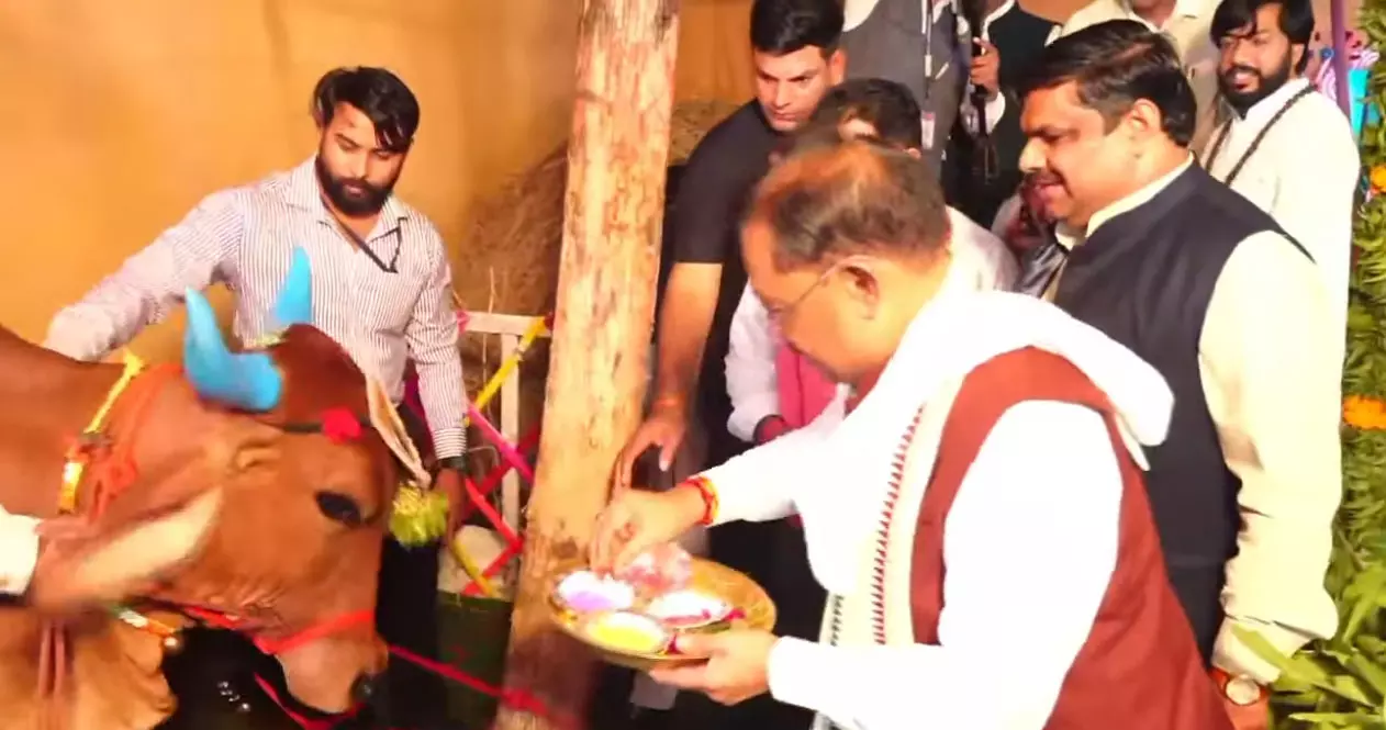 CM साय ने गाय और बछड़े को लोंदी खिलाकर दिया पशुधन संरक्षण का संदेश, हरेली तिहार मनाया CM साय ने गाय और बछड़े को लोंदी खिलाकर दिया पशुधन संरक्षण का संदेश, हरेली तिहार मनाया