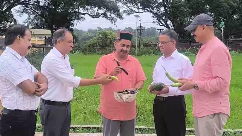 Pathania ने फसल संकट की समीक्षा की, प्राकृतिक खेती को बढ़ावा दिया Pathania ने फसल संकट की समीक्षा की, प्राकृतिक खेती को बढ़ावा दिया