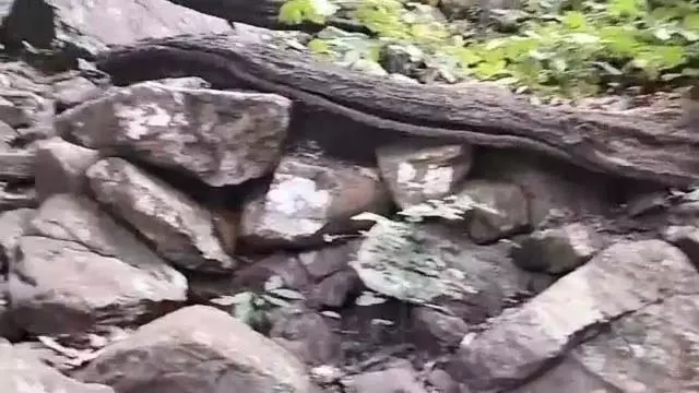 बरगढ़ की गंधमार्धन पहाड़ियों में भारी बारिश, 17 पर्यटक फंसे बरगढ़ की गंधमार्धन पहाड़ियों में भारी बारिश, 17 पर्यटक फंसे