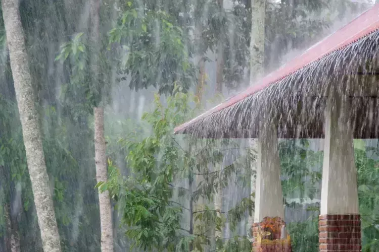 Kerala के कई जिलों में रविवार तक भारी बारिश की आशंका के चलते ऑरेंज और येलो अलर्ट जारी Kerala के कई जिलों में रविवार तक भारी बारिश की आशंका के चलते ऑरेंज और येलो अलर्ट जारी