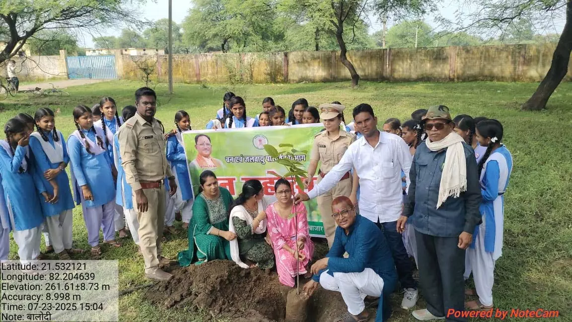 बेलौदी में वन महोत्सव का हुआ आयोजन बेलौदी में वन महोत्सव का हुआ आयोजन