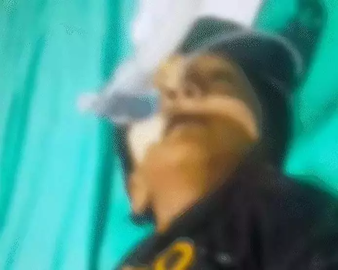 CG BREAKING: गले में चना फंसने से 2 साल के मासूम की मौत, परिजन सदमें में CG BREAKING: गले में चना फंसने से 2 साल के मासूम की मौत, परिजन सदमें में