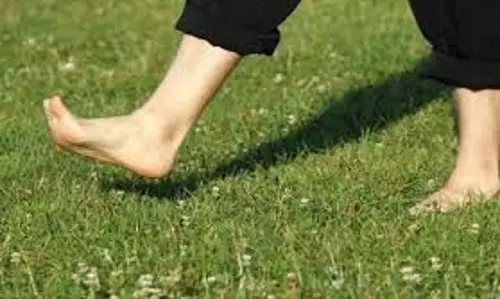 Barefoot Walking: जानिए रोजाना 30 मिनट नंगे पैर चलने से शरीर में क्या होता है Barefoot Walking: जानिए रोजाना 30 मिनट नंगे पैर चलने से शरीर में क्या होता है