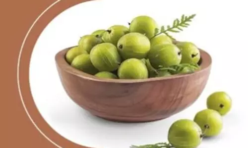 सर्दी, गर्मी और बरसात, हर मौसम में ‘रसायनों का राजा’ खास सर्दी, गर्मी और बरसात, हर मौसम में ‘रसायनों का राजा’ खास
