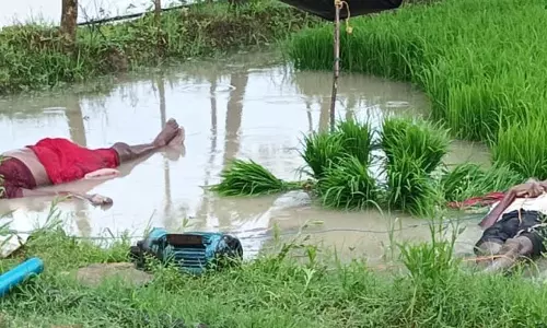 खेत में पंप चालू करने के दौरान किसान दंपती की मौत, आए करंट की चपेट में