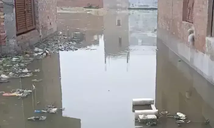 Firozabad: वार्ड 47 में बढ़ती समस्याओं पर पार्षद सख्त, नगर निगम को चेताया