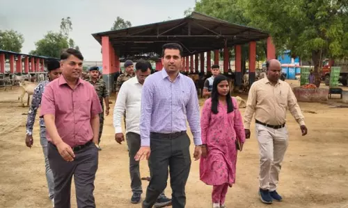 Kanpur: नगर आयुक्त सुधीर कुमार ने कान्हा गौशाला का लिया जायजा Kanpur: नगर आयुक्त सुधीर कुमार ने कान्हा गौशाला का लिया जायजा
