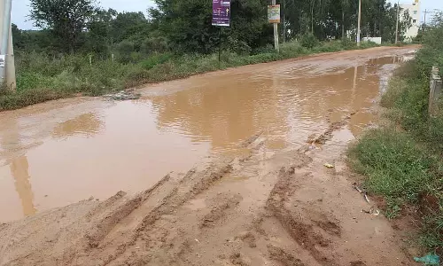Anekal : चावल की खेती के लिए सड़क तैयार