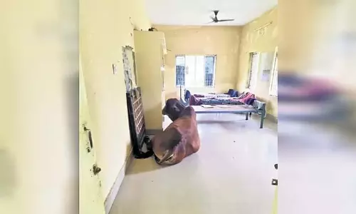 Odisha के कॉलेज छात्रों ने छात्रावासों में बेहतर रहने की स्थिति की मांग को लेकर विरोध प्रदर्शन किया