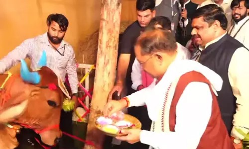 CM साय ने गाय और बछड़े को लोंदी खिलाकर दिया पशुधन संरक्षण का संदेश, हरेली तिहार मनाया