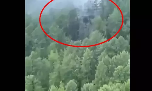 विमान दुर्घटनाग्रस्त, 49 की मौत, देखें मंजर