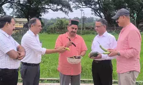 Pathania ने फसल संकट की समीक्षा की, प्राकृतिक खेती को बढ़ावा दिया