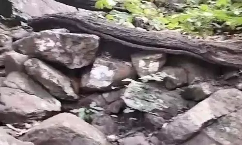 बरगढ़ की गंधमार्धन पहाड़ियों में भारी बारिश, 17 पर्यटक फंसे