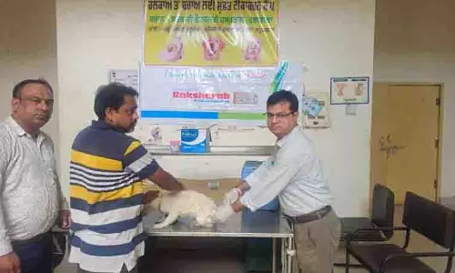 Phagwara पशु चिकित्सालय में स्टाफ की कमी से कामकाज प्रभावित Phagwara पशु चिकित्सालय में स्टाफ की कमी से कामकाज प्रभावित