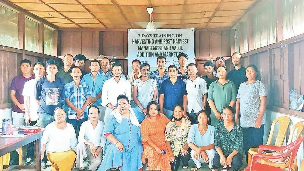 Nagaland : किसानों के लिए कटाई और विपणन पर प्रशिक्षण Nagaland : किसानों के लिए कटाई और विपणन पर प्रशिक्षण