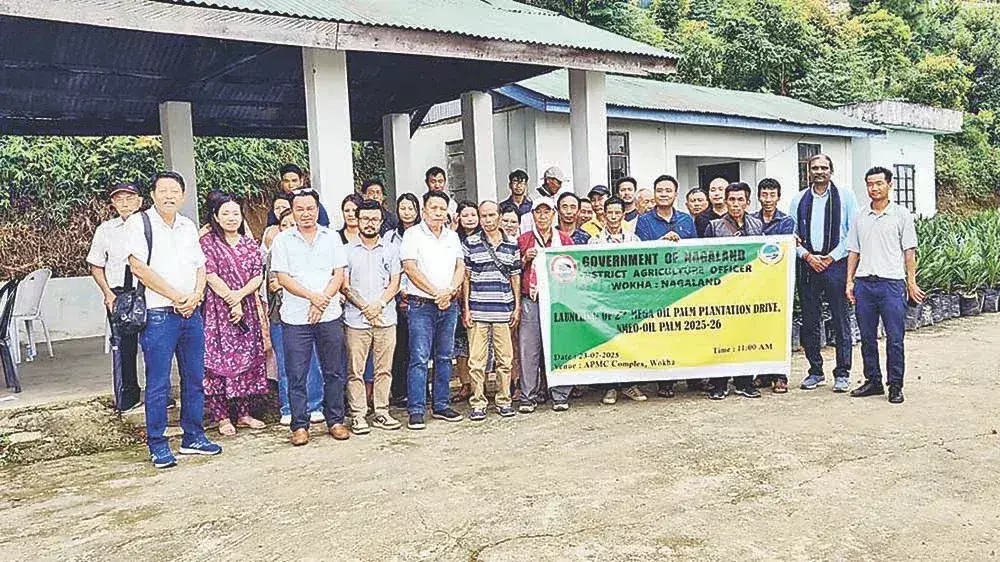Nagaland : वोखा में मेगा ऑयलपाम वृक्षारोपण अभियान Nagaland : वोखा में मेगा ऑयलपाम वृक्षारोपण अभियान