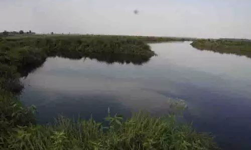 Pong बांध का जलस्तर बढ़ा, अलर्ट जारी Pong बांध का जलस्तर बढ़ा, अलर्ट जारी
