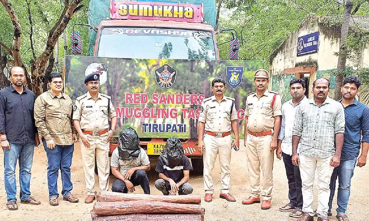 Andhra: लाल चंदन की 9 लकड़ियाँ जब्त, 2 हिरासत में Andhra: लाल चंदन की 9 लकड़ियाँ जब्त, 2 हिरासत में