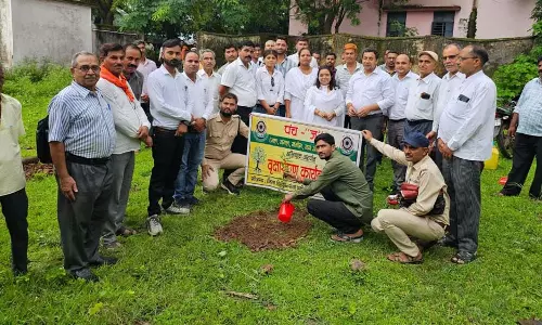 Sidhi: मझौली में पौधरोपण कर दिया पर्यावरण बचाने का संदेश Sidhi: मझौली में पौधरोपण कर दिया पर्यावरण बचाने का संदेश