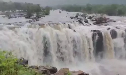 Telangana: बोगाथा फॉल्स 26 जुलाई तक बंद