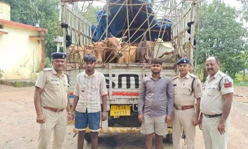 सीपत पुलिस की बड़ी कार्रवाई, मवेशी तस्करी में दो गिरफ्तार, 17 मवेशी व वाहन जब्त सीपत पुलिस की बड़ी कार्रवाई, मवेशी तस्करी में दो गिरफ्तार, 17 मवेशी व वाहन जब्त
