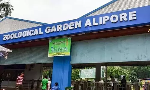 चिड़ियाघरों में लुप्तप्राय जानवरों की संख्या में 1 की कमी चिड़ियाघरों में लुप्तप्राय जानवरों की संख्या में 1 की कमी