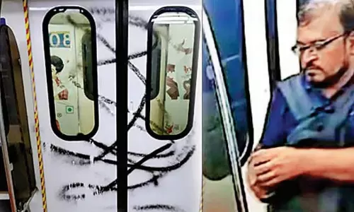 ब्लू लाइन मेट्रो के डिब्बे पर स्याही के धब्बे के बाद यात्री ने पुलिस से शिकायत की