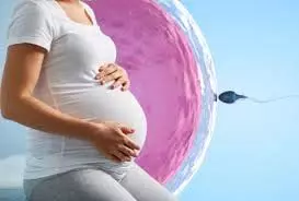 World IVF Day: तनाव व जीवनशैली से युवा महिलाओं में बढ़ रहा बांझपन का खतरा World IVF Day: तनाव व जीवनशैली से युवा महिलाओं में बढ़ रहा बांझपन का खतरा