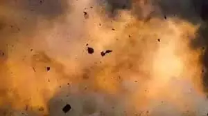 MP News: सांड के मुंह में फटा देसी बम, इलाज के दौरान मौत MP News: सांड के मुंह में फटा देसी बम, इलाज के दौरान मौत