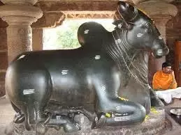 Nandi: नंदी के कान में क्यों कही जाती है मनोकामना, जानिए इसके पीछे की मान्यता Nandi: नंदी के कान में क्यों कही जाती है मनोकामना, जानिए इसके पीछे की मान्यता