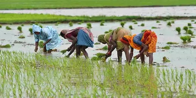 12,000 एकड़ ज़मीन जबरन अधिग्रहित: सही दाम दिए बिना धोखाधड़ी; किसानों का आरोप 12,000 एकड़ ज़मीन जबरन अधिग्रहित: सही दाम दिए बिना धोखाधड़ी; किसानों का आरोप