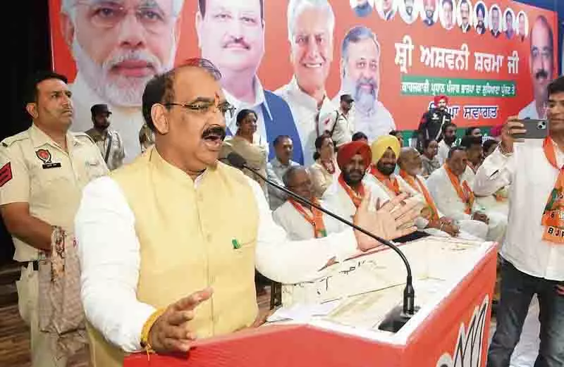 BJP 2027 के पंजाब विधानसभा चुनाव अकेले लड़ेगी: पार्टी के कार्यकारी अध्यक्ष BJP 2027 के पंजाब विधानसभा चुनाव अकेले लड़ेगी: पार्टी के कार्यकारी अध्यक्ष