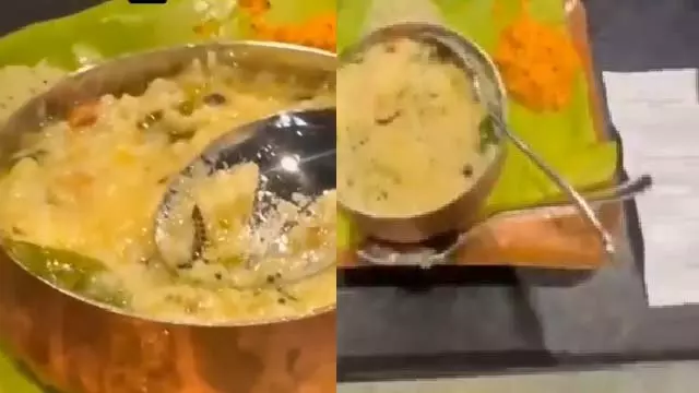 Bengaluru : एयरपोर्ट पर पोंगल में कीड़ा, वसूली के खिलाफ शिकायत Bengaluru : एयरपोर्ट पर पोंगल में कीड़ा, वसूली के खिलाफ शिकायत