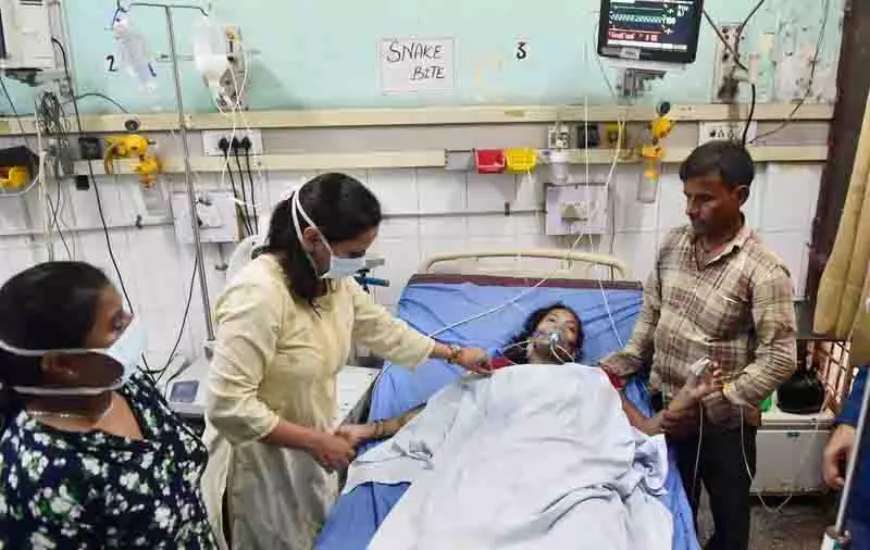 Ludhiana: सर्पदंश मामले, जिले में प्रतिपूर्ति, मुआवजे के लिए कोई दावेदार नहीं Ludhiana: सर्पदंश मामले, जिले में प्रतिपूर्ति, मुआवजे के लिए कोई दावेदार नहीं