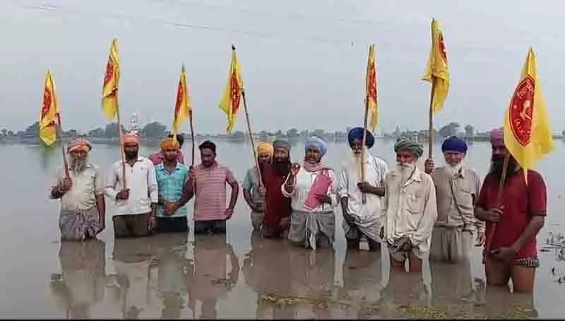 Amritsar: किसानों ने अतिरिक्त वर्षा जल की निकासी के लिए कसूर नाले से जल निकासी की मांग की Amritsar: किसानों ने अतिरिक्त वर्षा जल की निकासी के लिए कसूर नाले से जल निकासी की मांग की