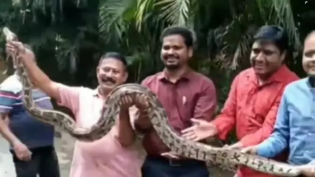 Raigarh में सब-कलेक्टर कार्यालय में मिला 12 फुट लंबा अजगर, सब हुए हैरान Raigarh में सब-कलेक्टर कार्यालय में मिला 12 फुट लंबा अजगर, सब हुए हैरान
