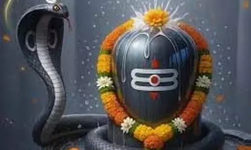 Nag Panchami 2025:नाग पंचमी पर शिवलिंग पर चढ़ाएं ये 5 चीजें, कालसर्प दोष से मिलेगी राहत