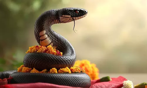 Nag Panchami 2025: इस साल नाग पंचमी पर करें ये चार उपाय, बनेंगे सभी बिगड़े काम