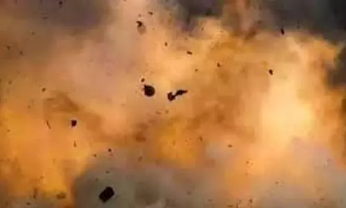 MP News: सांड के मुंह में फटा देसी बम, इलाज के दौरान मौत MP News: सांड के मुंह में फटा देसी बम, इलाज के दौरान मौत