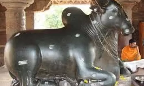 Nandi: नंदी के कान में क्यों कही जाती है मनोकामना, जानिए इसके पीछे की मान्यता Nandi: नंदी के कान में क्यों कही जाती है मनोकामना, जानिए इसके पीछे की मान्यता
