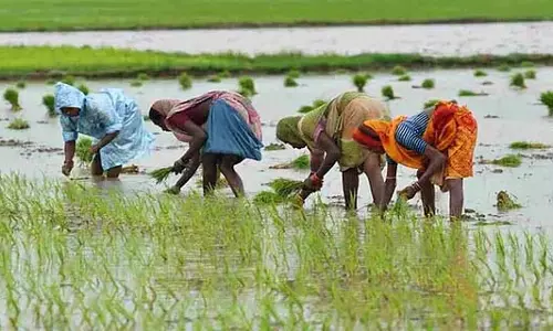 12,000 एकड़ ज़मीन जबरन अधिग्रहित: सही दाम दिए बिना धोखाधड़ी; किसानों का आरोप 12,000 एकड़ ज़मीन जबरन अधिग्रहित: सही दाम दिए बिना धोखाधड़ी; किसानों का आरोप