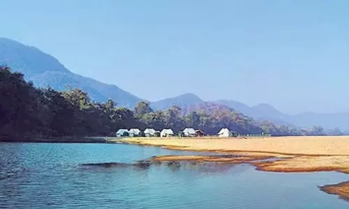 Odisha ने प्रमुख वन्यजीव क्षेत्रों में पर्यटन, बुनियादी ढांचे की योजना रद्द की Odisha ने प्रमुख वन्यजीव क्षेत्रों में पर्यटन, बुनियादी ढांचे की योजना रद्द की