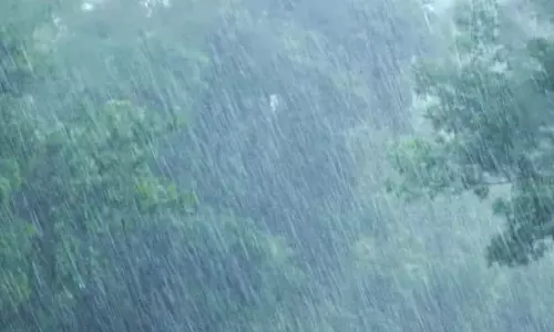 महासमुंद जिले में अब तक 439.9 मिलीमीटर औसत वर्षा महासमुंद जिले में अब तक 439.9 मिलीमीटर औसत वर्षा
