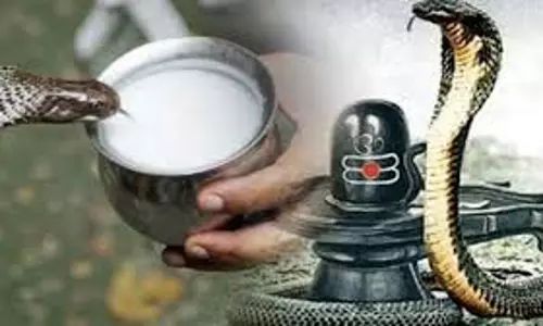 Nag Panchami 2025:  जानें नाग पंचमी की तारीख, पूजा विधि और शुभ मुहूर्त