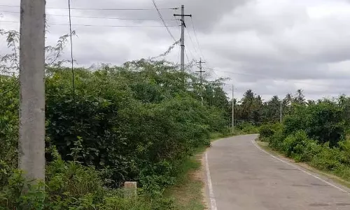 सड़क के दोनों ओर बाड़: यातायात के लिए ख़तरा सड़क के दोनों ओर बाड़: यातायात के लिए ख़तरा