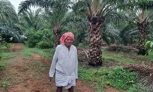 92 वर्षीय किसान वीरैया, जिन्होंने ताड़ की खेती से भारी मुनाफा कमाया