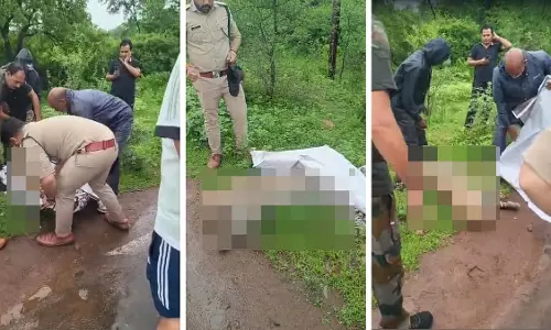 MP : शिवपुरी में माधव टाइगर रिजर्व के पास सड़क दुर्घटना में 3 साल के तेंदुए की मौत MP : शिवपुरी में माधव टाइगर रिजर्व के पास सड़क दुर्घटना में 3 साल के तेंदुए की मौत